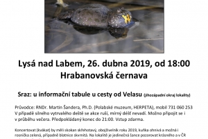 ŽABÍ KVÁKÁNÍ HRABANOV