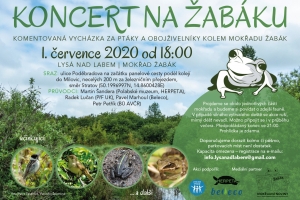 KONCERT NA ŽABÁKU