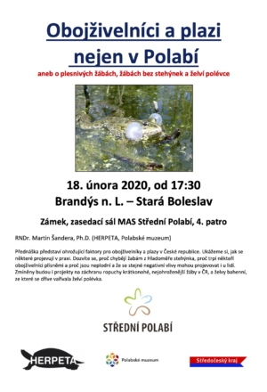 Obojživelníci a plazi nejen v Polabí