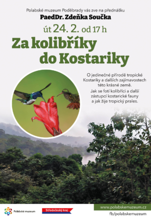 Za kolibříky do Kostariky