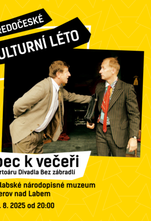 Divadelní představení - Blbec k večeři