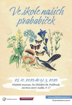 Ve škole našich prababiček