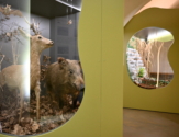 Vlastivědné muzeum Nymburk - 3