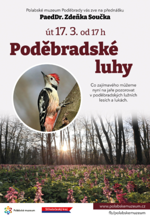 Poděbradské luhy