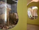 Vlastivědné muzeum Nymburk - 3